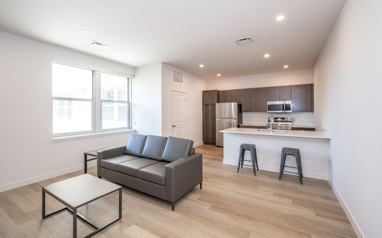 Living area with sofa and coffee table, with kitchen in background