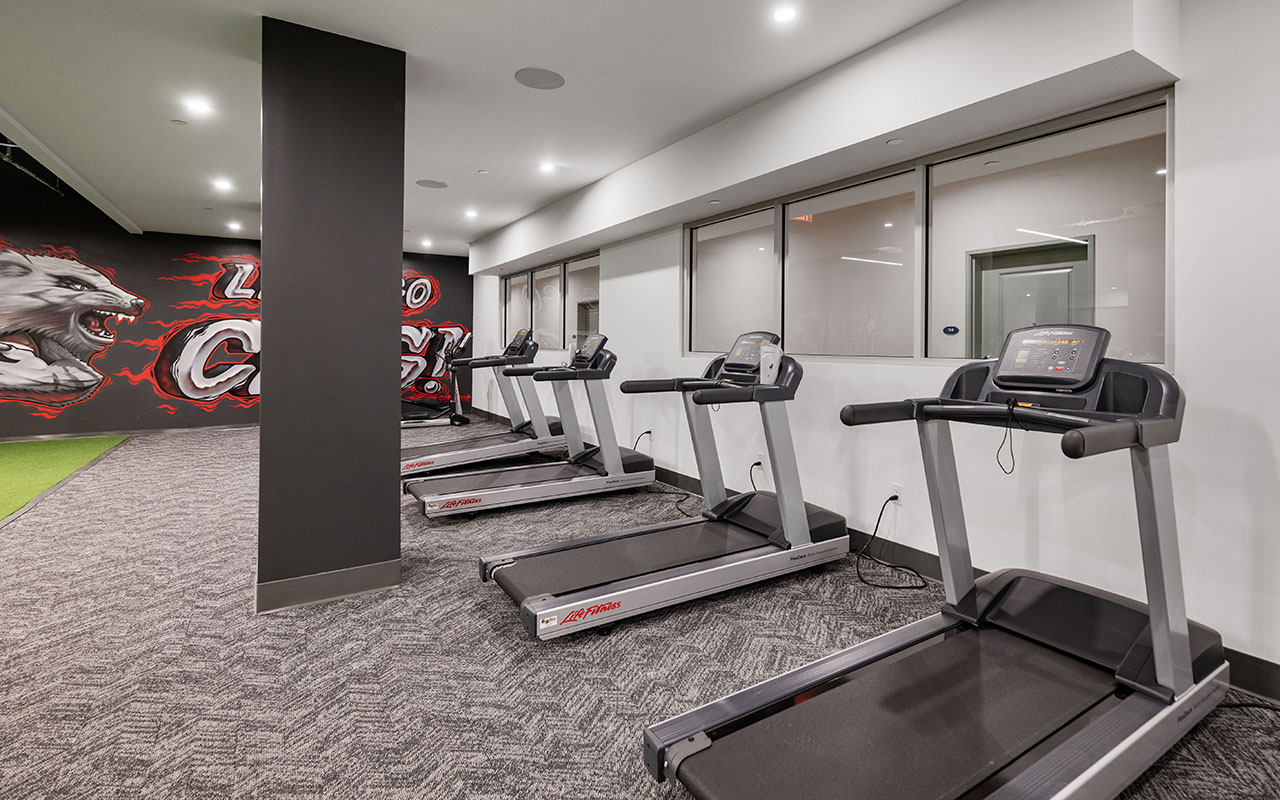 Multiple treadmills lined up in a large room