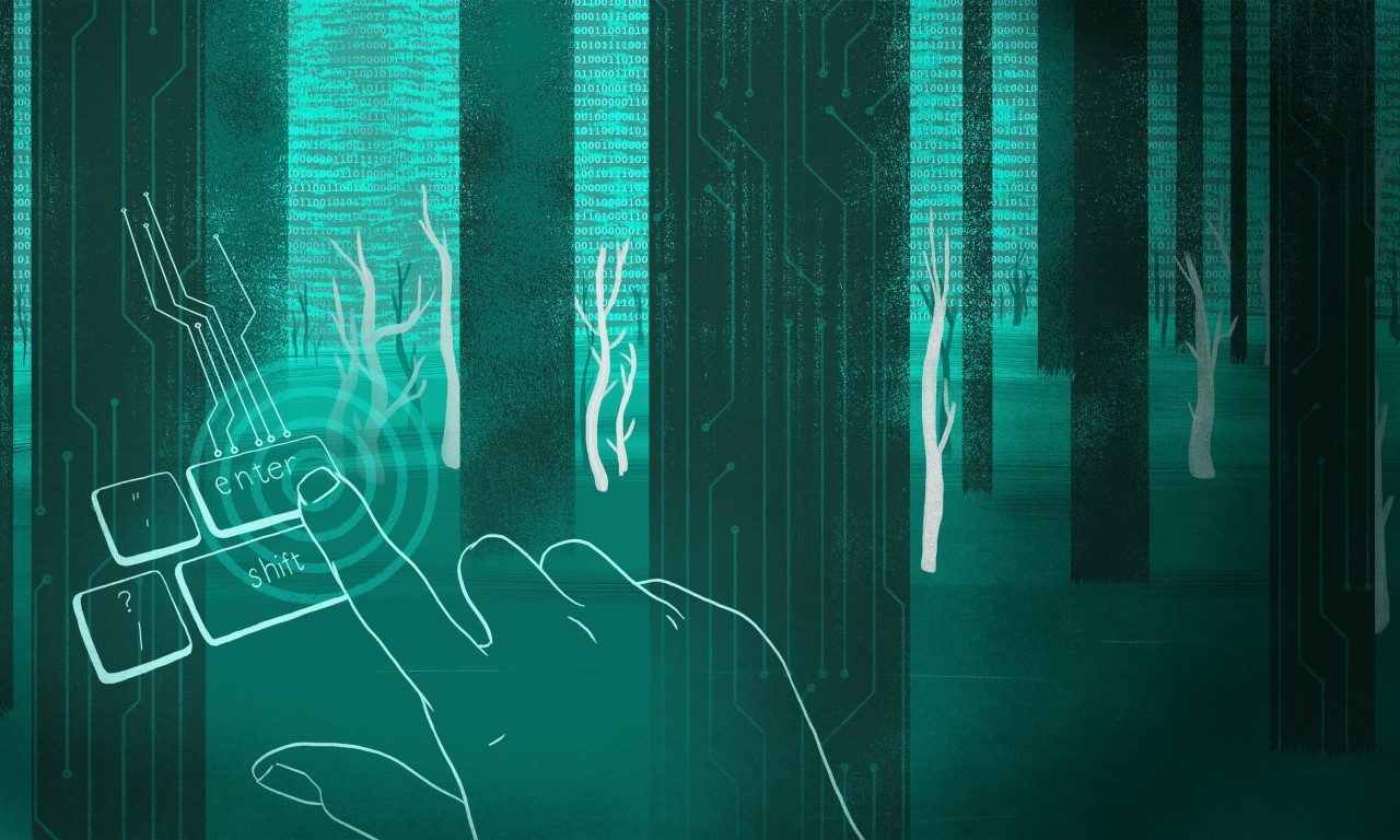 A digital graphic of a hand on a keyboard in a digital forest.