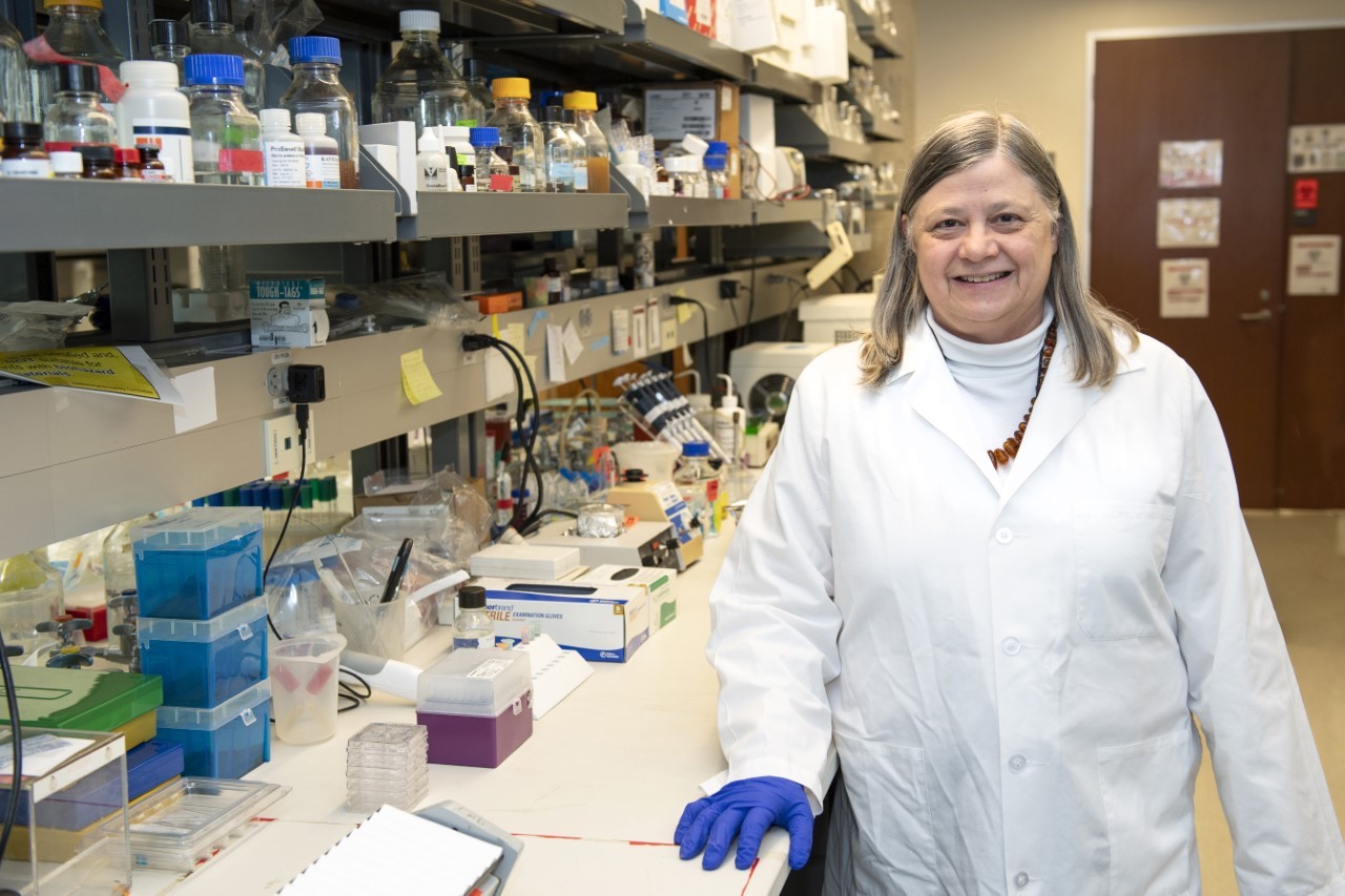 Alison Weiss, PhD, shown in a UC College of Medicine laboratory.