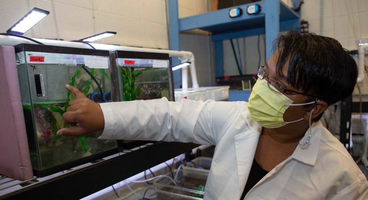 UC professor Latonya Jackson points to fish in an aquarium in her biology lab.