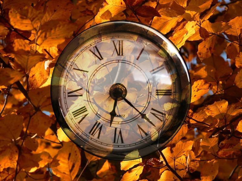 a clock with Roman numerals sits on a bed of autumn leaves
