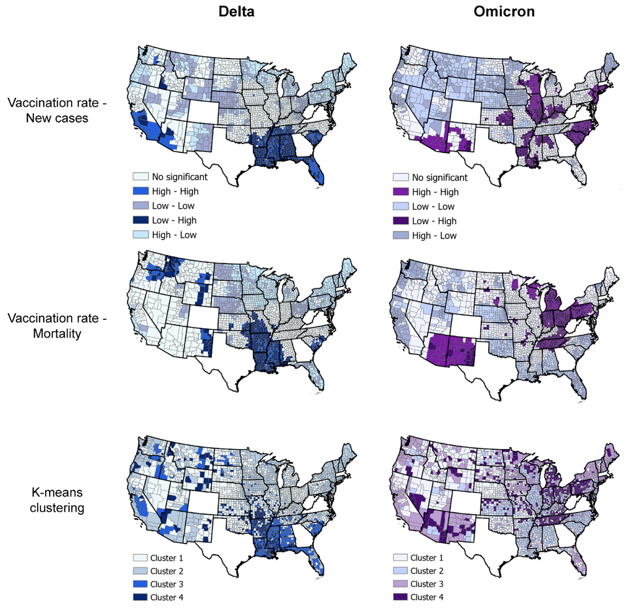 Six maps of the continental United States depict the spread of delta and omicron variants of COVID-19 in new cases, vaccination rates and K-means clustering.