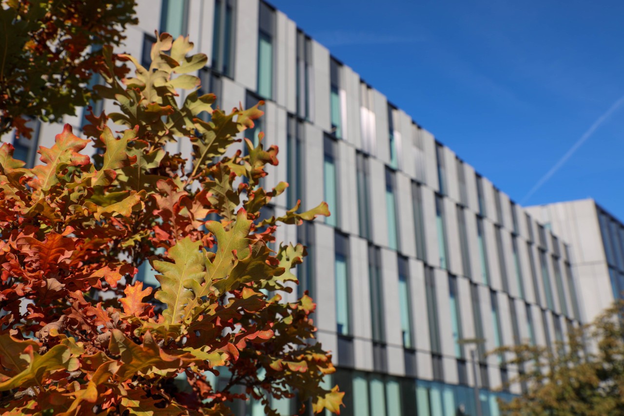 The exterior of Lindner Hall, with a tree in the foreground.