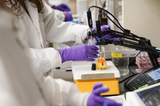 Scientists wearing white lab coats and purple rubber gloves use lab equipment in their research.