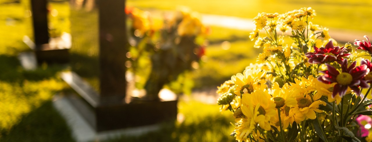 headstones in the evening light