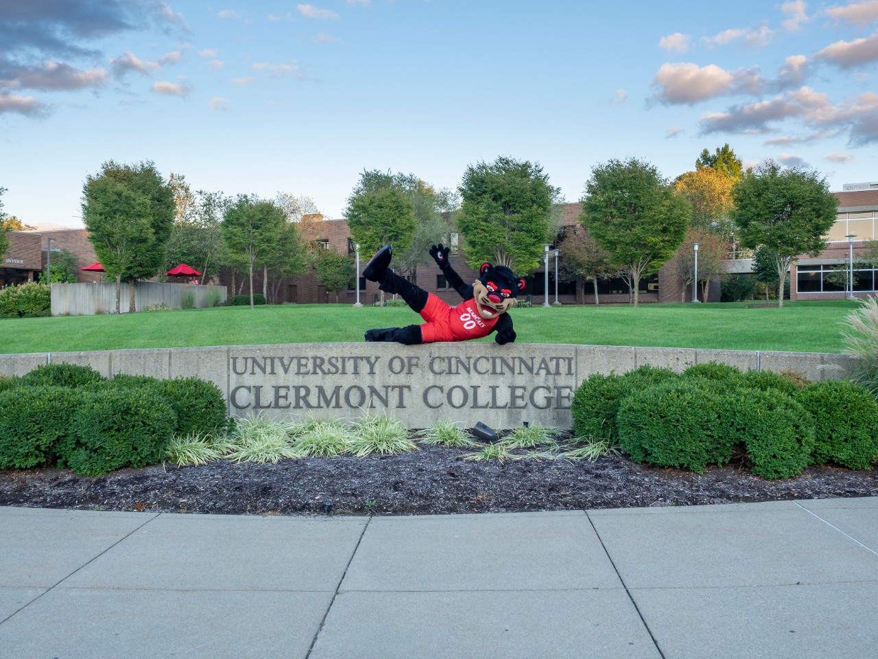 The Bearcat Mascot lays on a large sign that reads 'University of Cincinnati Clermont College'