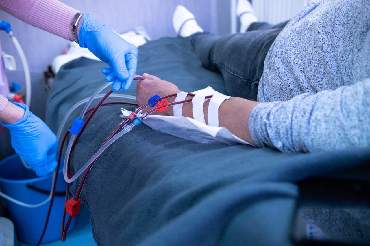 A health care worker wearing blue latex gloves prepares a patient for hemodialysis.