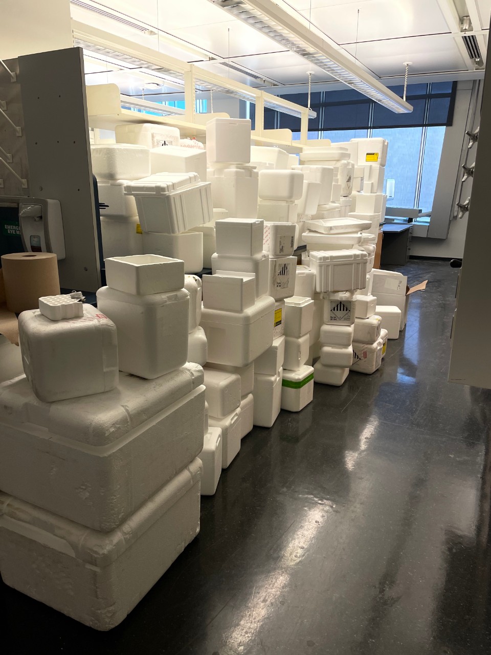 Styrofoam boxes piled up for recycling within the College of Medicine.