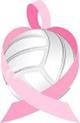 Volley for the Cure Image