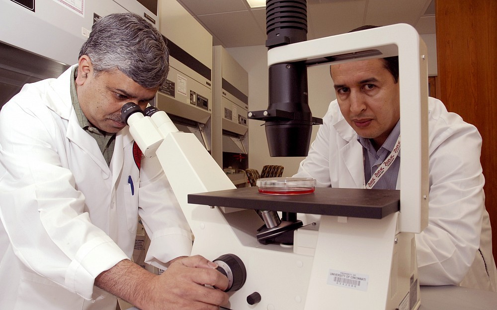 Sulaiman Sheriff, PhD, and Hassane Amlal, PhD, examine breast cancer cell samples in their lab. 