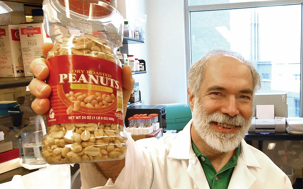 Fred Finkelman, MD, has received a $430,000 grant to study why peanuts trigger severe allergic reactions in adolescents and young adults. He will conduct the research in collaboration with Marat Khodoun, PhD.
