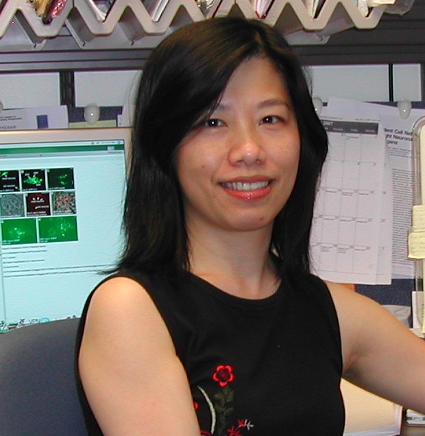 Chiou-Fen Chuang, PhD, assistant professor of pediatrics at UC and researcher in developmental biology at Cincinnati Children's Hospital Medical Center