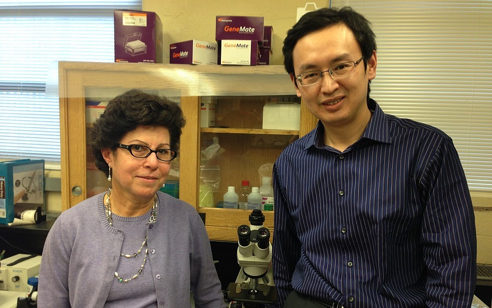 Yuhang Zhang, PhD, and Zalfa Abdel-Malek, PhD