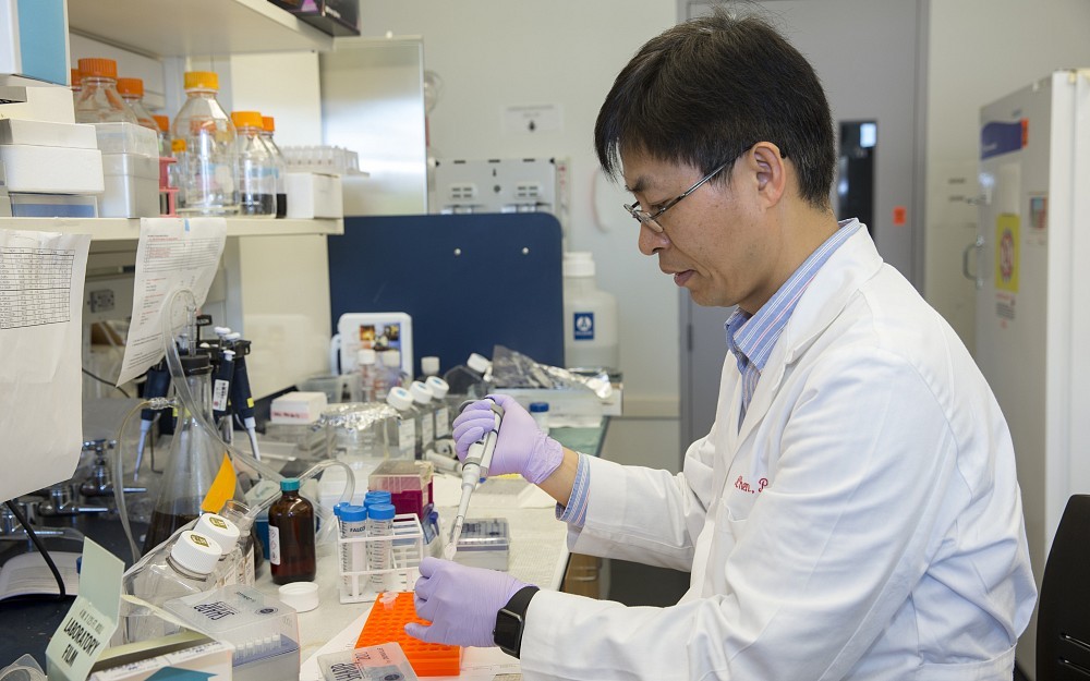 Jianjun Chen, PhD, associate professor in the Department of Cancer Biology at the UC College of Medicine